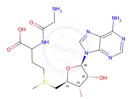 Chemical structure of Ademetionine Impurity 2