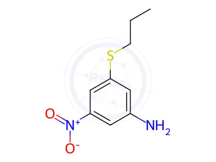 Chemical structure of 3-Nitro-5-(propylthio)aniline