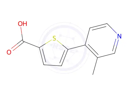 Chemical structure of 5-(3-Methylpyridin-4-yl)thiophene-2-carboxylic acid