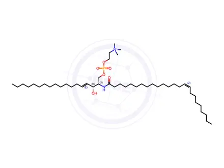 Chemical structure of 24:1 SM