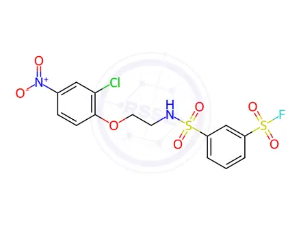 Chemical structure of 3-(N-(2-(2-Chloro-4-nitrophenoxy)ethyl)sulfamoyl)benzene-1-sulfonyl fluoride