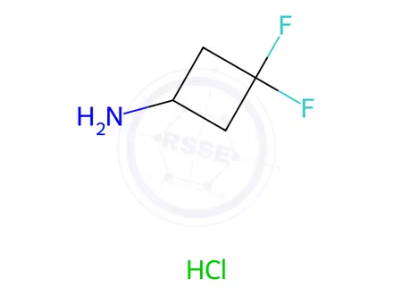 Chemical structure of 3,3-Difluorocyclobutanamine Hydrochloride
