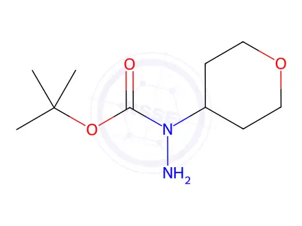 Chemical structure of N-(OXAN-4-YL)(TERT-BUTOXY)CARBOHYDRAZIDE