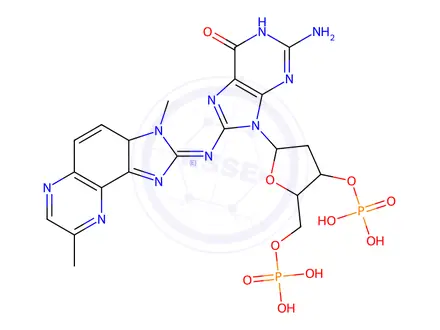 Chemical structure of N(2)-(deoxyguanosin-8-yl)-2-amino-3,8-dimethylimidazo(4,5-f)quinoxaline 3',5'-diphosphate