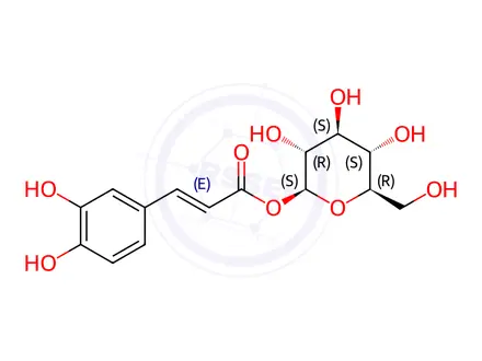 Chemical structure of 1-O-Caffeoylglucose in methanol