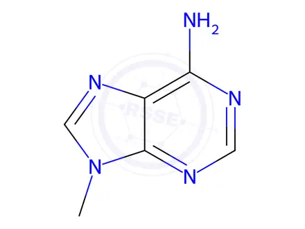 Chemical structure of 6-Amino-9-methylpurine
