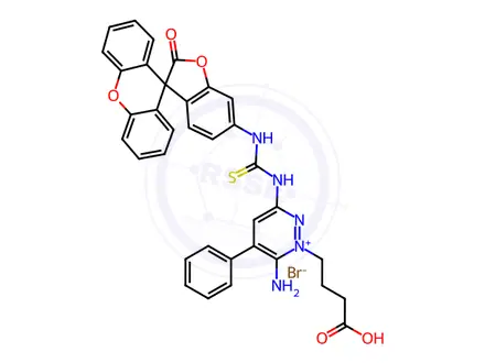 Chemical structure of Fluoresceinyl Gabazine Bromide