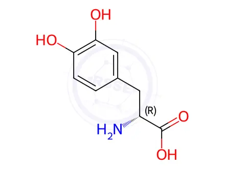 Chemical structure of D-DOPA