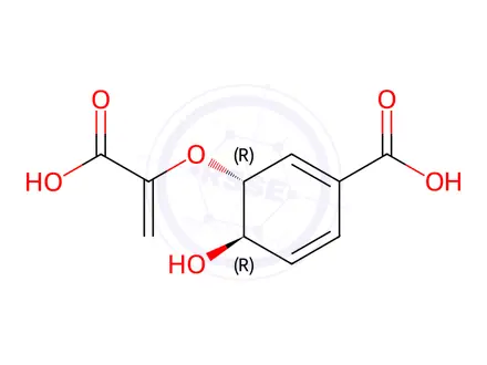 Chemical structure of Chorismic acid