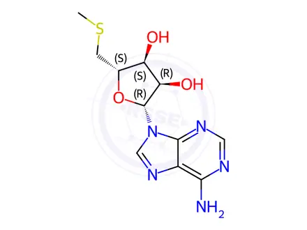 Chemical structure of Methyl-thioadenosine
