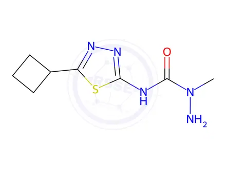 Chemical structure of N-(5-Cyclobutyl-1,3,4-thiadiazol-2-yl)-1-methylhydrazinecarboxamide