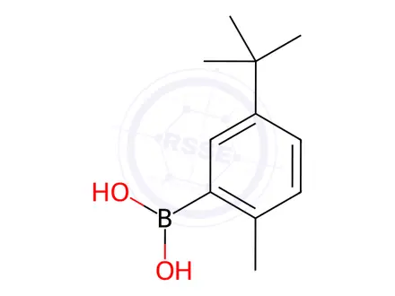 Chemical structure of (5-tert-Butyl-2-methylphenyl)boronic acid