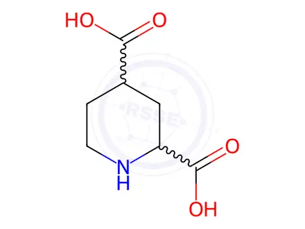 Chemical structure of 2,4-Piperidinedicarboxylic acid