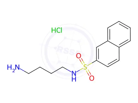 Chemical structure of N-(4-Aminobutyl)-2-naphthalenesulfonamide Hydrochloride