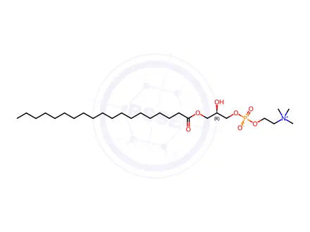 Chemical structure of Lyso PC(19:0)