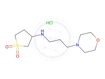 Chemical structure of 3-((3-Morpholinopropyl)amino)tetrahydrothiophene 1,1-dioxide hydrochloride