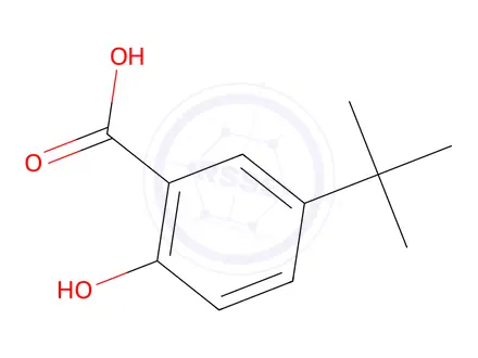 Chemical structure of 5-tert-Butyl-2-hydroxybenzoic Acid
