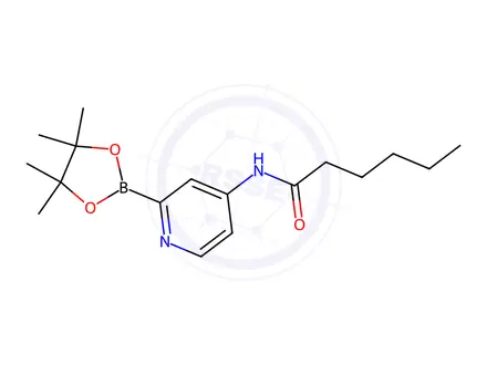 Chemical structure of N-[2-(4,4,5,5-Tetramethyl-1,3,2-dioxaborolan-2-yl)-4-pyridyl]hexanamide