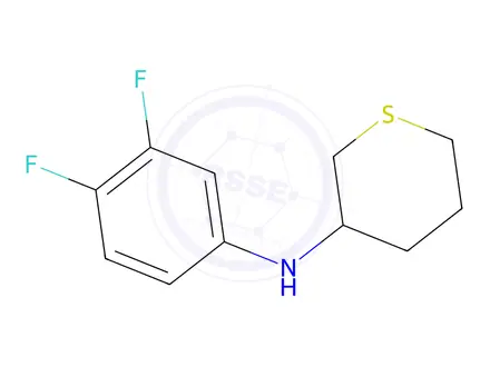 Chemical structure of N-(3,4-difluorophenyl)tetrahydro-2H-thiopyran-3-amine