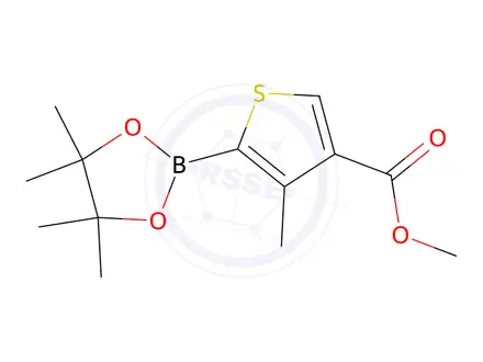 Chemical structure of Methyl 4-methyl-5-(4,4,5,5-tetramethyl-1,3,2-dioxaborolan-2-yl)thiophene-3-carboxylate