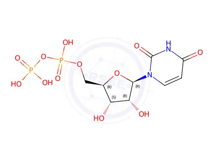 Chemical structure of Diquafosol Impurity UDP