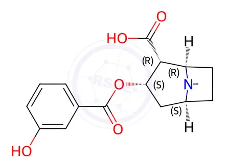 Chemical structure of meta-Hydroxybenzoylecgonine