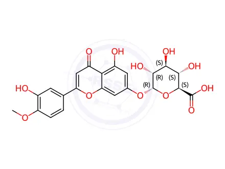 Chemical structure of Diosmetin 7-O-β-D-glucuronide