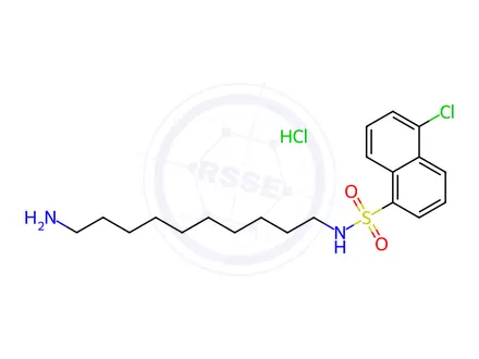 Chemical structure of N-(10-Aminodecyl)-5-chloro-1-naphthalenesulfonamide Hydrochloride