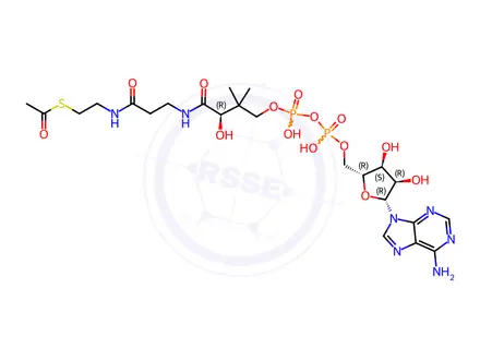 Chemical structure of acetyl-dephospho-CoA