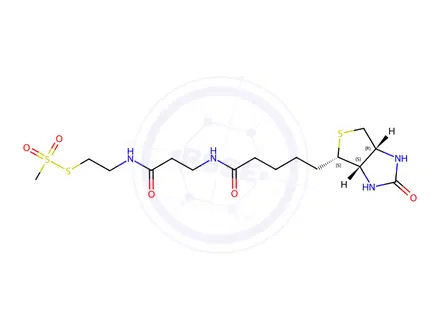Chemical structure of N-Biotinyl Propionylaminoethyl Methanethiosulfate