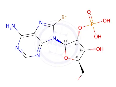 Chemical structure of 8-bromo-2'-AMP