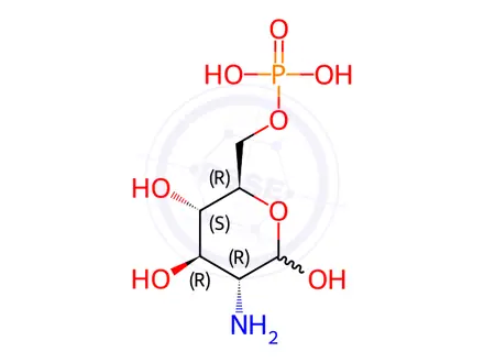 Chemical structure of D-Glucosamine 6-phosphate