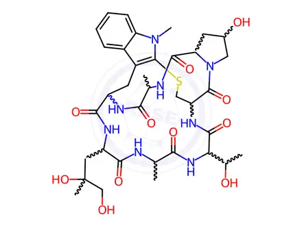 Chemical structure of N-Methylphalloidin