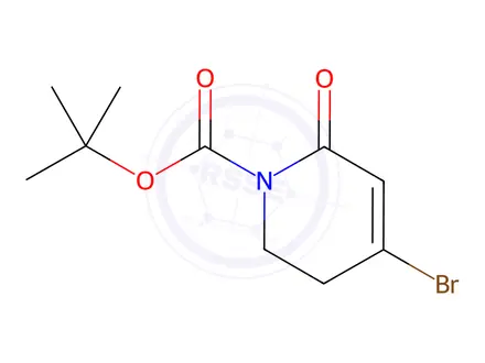 Chemical structure of tert-Butyl 4-bromo-2-oxo-5,6-dihydropyridine-1(2H)-carboxylate