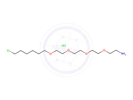 Chemical structure of 18-Chloro-3,6,9,12-tetraoxaoctadecan-1-amine hydrochloride
