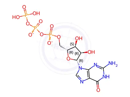 Chemical structure of Guanosine 5-Triphosphate Disodium Salt