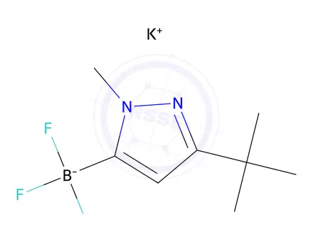 Chemical structure of Potassium (3-(tert-butyl)-1-methyl-1H-pyrazol-5-yl)trifluoroborate