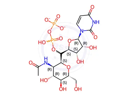 Chemical structure of Uridine 5 bisphosphate-N-acetylglucosamine sodium