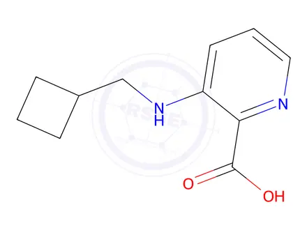 Chemical structure of 3-((Cyclobutylmethyl)amino)picolinic acid