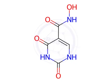 Chemical structure of n-Hydroxy-2,4-dioxo-1,2,3,4-tetrahydropyrimidine-5-carboxamide