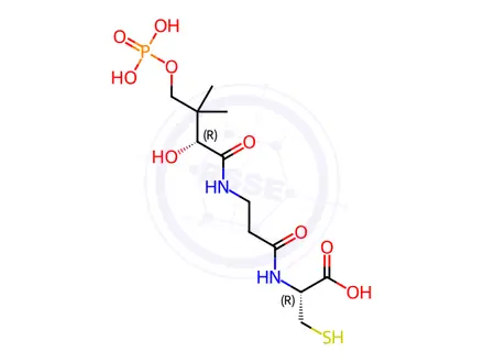 Chemical structure of Acetylcysteine Impurity 113