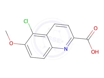 Chemical structure of 5-Chloro-6-methoxyquinoline-2-carboxylic acid