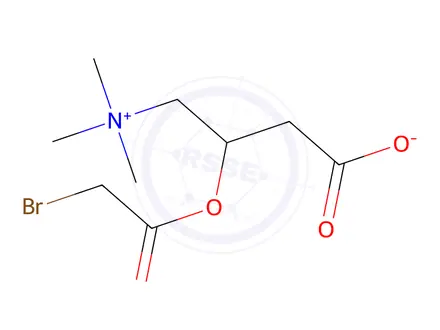 Chemical structure of bromoacetylcarnitine