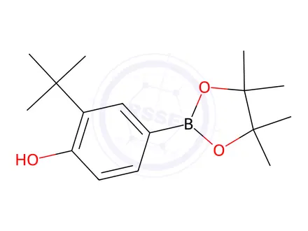Chemical structure of 2-tert-Butyl-4-(4,4,5,5-tetramethyl-1,3,2-dioxaborolan-2-yl)phenol