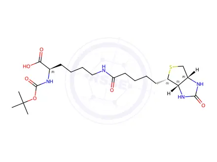 Chemical structure of N-alpha-Boc-Nepsilon-biotinyl-D-lysine