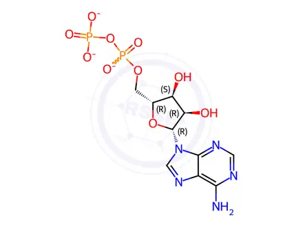 Chemical structure of Adenosine 5'-diphosphate trilithium salt