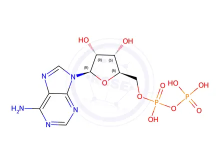 Chemical structure of Adenosine 5'-diphosphate