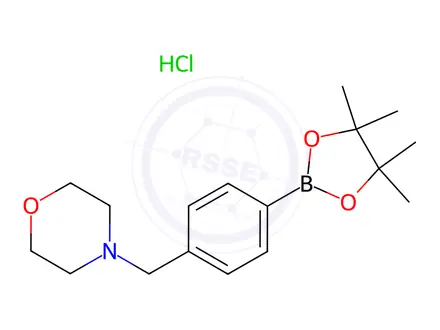 Chemical structure of 4-(4-Morpholinomethyl)phenylboronic acid pinacol ester, HCl