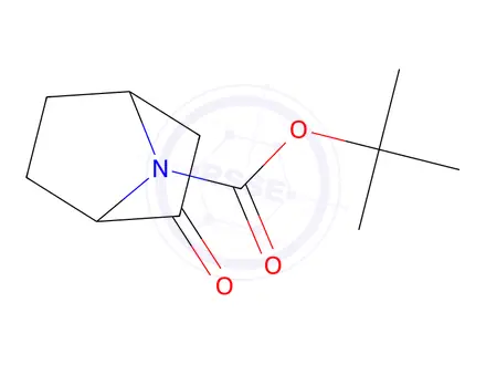 Chemical structure of 7-Boc-2-oxo-7-azabicyclo[2.2.1]heptane