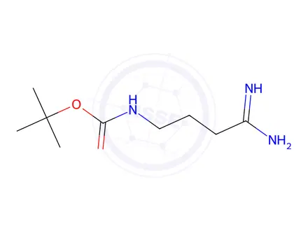 Chemical structure of Tert-butyl (4-amino-4-iminobutyl)carbamate